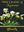 Wild Orchids of Myanmar. 2014. illus. 487 p. gr8vo. Hardcover. - Bilingual (English / Myanmar).