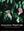 Hawaiian Plant Life. Vegetation and Flora. 2014. 870 col. photogr. XII, 320 p. 4to. Hardcover.