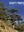 God's Trees: trees, forests and wood in the bible. An illustrated commentary and compendium, With paintings by Veronica Pinchen. 2015. illus. 198 p.