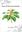 Flora of the Cook Islands. 2016. 441 (185 col.) figs. 950 p. gr8vo. Hardcover.