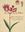 El Arca de Nee. Plantas recolectadas por es botanicao Luis Nee Durante la Expedicion Malaspina. 2016. many col. illus. (photogr. and pls.). 446 p. gr8vo. Paper bd.- In Spanish.