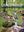 Parque Natural Los Alcornocales: Guia Excursionistica. 2nd ed. 2015. illus.(col.). 400 p. Paper bd.- In Spanish.