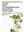  Claves para la Determinacion de Plantas Vasculares. 2nd ed. 1997. Many line figs. 448 p. Paper bd. -In Spanish. 