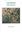Lichens: An Illustrated Guide to the British and Irish Species. 7th rev. ed. 2018. illus. 520 p. Hardcover.