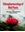 Ethnopharmacology of Wild Plants. 2021. 132 (9 col.) figs. VIII, 417 p. gr8vo. Hardcover.