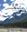 Flora of Sikkim. A Pictorial Guide. 2021. ca. 3000 col. photogr. 564 p. 4to.. Hardcover.