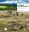 Landes de Bretagne: un patrimoine vivant. 2017. illus. (col.). 159 p. gr8vo. Paper bd.