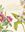 Wild Flowers of North America. With Botanical Illustrations by Mary Vaux Walcott. 2022. 300 col. figs. 324 p. Hardcover.