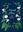 Norsk Flora. 8th rev. ed. 2022.  2036 line drawgs. 1255 p. Hardcover. - In Norwegian, with Latin nomenclature.