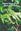 A Fern Flora of the Western Himalaya. 6 volumes. 2024. illus. 3000 p. gr8vo. Hardcover.