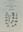 Edvard August Vainio's Types in TUR - V and Other Herbaria. 1988. (Public. Herbarium,Univ. of Turku,2). 513 p.8vo. Paper bd.
