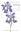  Their Identification and Cultivation. Ed. by The Species Group of the British Iris Society.With line drawings by Christabel King.1997. 120 colourplates. 27 line diagrams. 27 maps. XV, 371 p. gr8vo. Cloth.