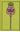 Flora of Turkey and the East Aegean Islands. Volume 006. 1978. (Reprint 1997). illustr. 984 p. gr8vo. Hardcover.