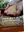 Cooking with plants in ancient Europe and beyond. Interdisciplinary approaches to the archaeology of plant foods. 2022. 236 (207 col.) figs 526 p. gr8vo. Hardcover.
