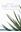 Medicinal Plants of Nigeria. An Ethnobotanical Survey and Plant Album. 2018. 87 col. photogr. 180 p. Paper bd. Medicinal Plants of Nigeria. An Ethnobotanical Survey and Plant Album. 2018. 87 col. photogr. 180 p. Paper bd.