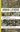 Urban lichens. A Field Guide for Northeastern North America. 2021. 121 col. figs. 158 p. gr8vo. Paper bd.