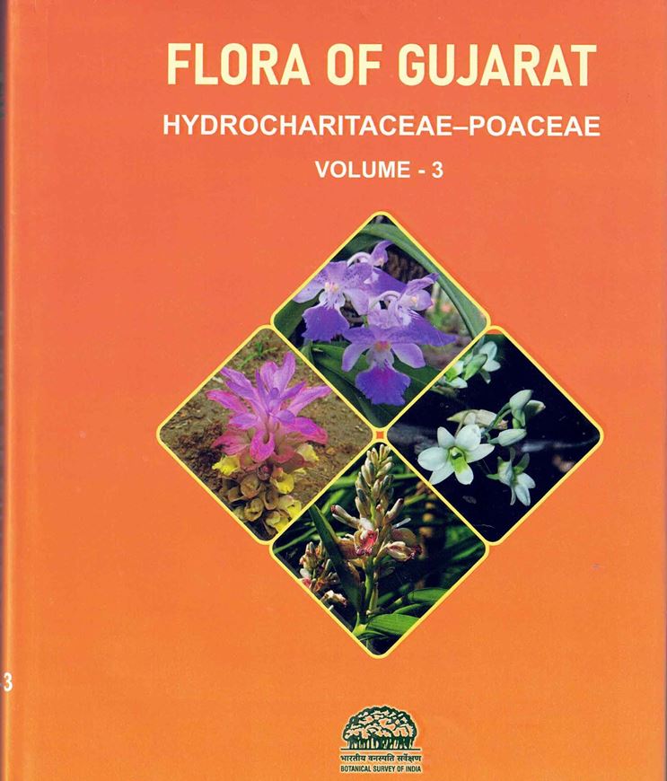 Flora of Gujarat. Volume 3: Hydrocharitaceae - Poaceae. 2025.32 col.pls. 428 p. gr8vo. Hardcover.