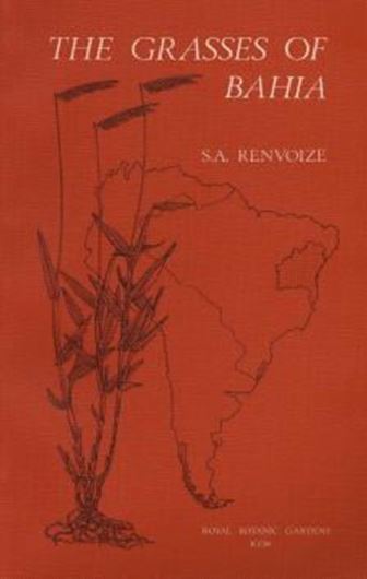 The grasses of Bahia.Illustrated by Sue Wickison.1984. 110 figs.(full-page line-drawings).301 p.gr8vo.Paper bd.