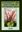  Biodiversity and Vegetation of Pachmarhi Hills. 2002. 7 col. pls. VII, 353 p. gr8vo. Hardcover. 