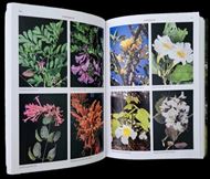 Guia das Plantas das Dunas e Restingas. 2025. many col. photogr. 568 p. gr8vo. Hardcover.- In Portuguese.