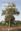  Guide d'identification des Arbres du Burkina Faso. 2012. 300 illus. 288 p. gr8vo. Hardcover. 