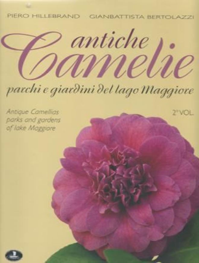 Antiche Camelie parchi e giardini del lago Maggiore / Antique Camellias parks and gardens of lake Maggiore. 2011. (Verbano Verde, 29). many col. photogr. 376 p. 4to. Hardcover. - In Italian.