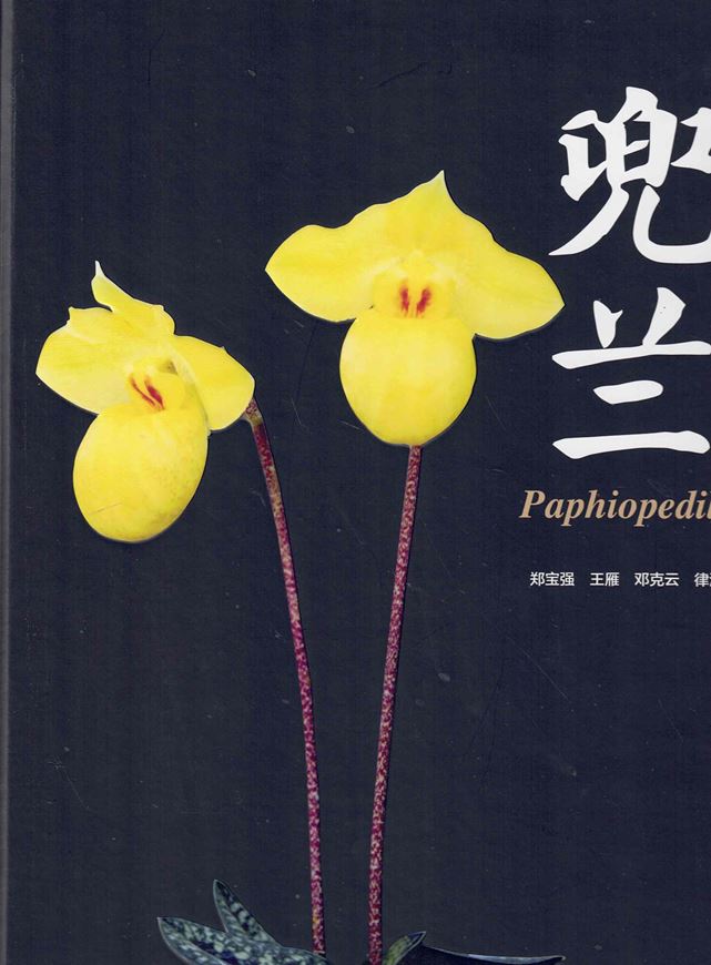 Paphiopedilum. 2024. ca. 1500 col. photogr. 420 p. 4to. Hardcover. - Chinese, with Latin nomenclature.