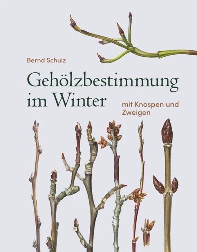 Gehölzbestimmung im Winter. Mit Knospen und Zweigen. 3. aktualisierte Auflage. 2020. über 1400 farbige Aquarelle und 400 weitere Zeichnungen. 360 S. gr8vo. Kartoniert.
