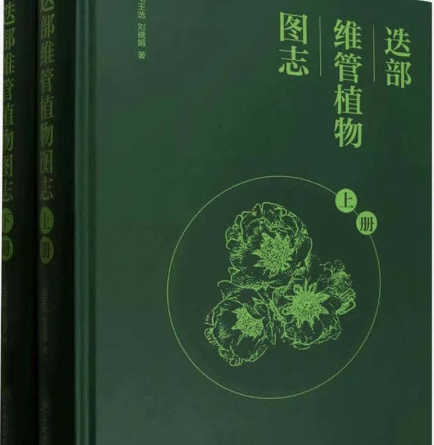 Illustrated Flora of Vascular Plants in Diebu County. (Dié bù wéi guan zhíwù tú zhì (shàngxià)(jing)). 2 volumes, 2025. illus. 1640 p. gr8vo. Hardcover.- Chinese, with Latin nomenclature.