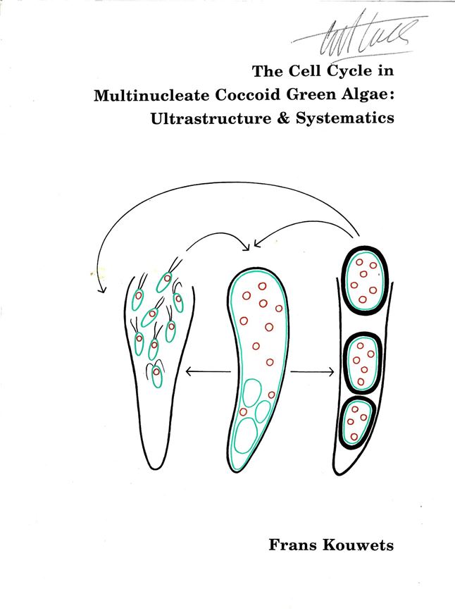 The Cell Cycle in Multi- nucleate Coccoid Green Algae: Ultrastructure and Systematics. 1994. (Dissertation). illus. 161 p. 4to. Paper bd.