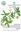Ed. by H.Y.Bernal and J.E.Correa Q. Volume 9: Gentianaceae, Gesneriaceae, Gramineae, Guttiferae,Haloragaceae, Hypericaceae, Illecebraceae, Krameriaceae. 1993. illustr. V, 482 p. gr8vo. Paper bd.
