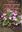 Common Cyclamen ( Cyclamen purpurascens Mill.) and Its Diversity if Slovenia. 2009. col. photgr. 163 p. gr8vo. Paper bd.- In English.
