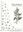 Ed.-in-Chief: Bengt Jonsell. Executive ed.: Thomas Karlsson. Volume 02. 2001. 154 line - figs. Many dot - maps. XV, 430 p. gr8vo. Hardcover.