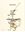 Du Pilat à la Louisiane, Auguste Langlois, 1832 - 1900, Botaniste. 2022. (Dan l'Tan, supplément) illus. 149 p. gr8vo. Paper bd.
