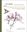 Eloge des Indisciplinées. Il ny a pas de mauvaises plantes. 2024. 244 p. 4to.  Hardcover.