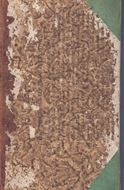 Supplementum Plantarum Systematis Vegetabilium Editionis decimae tertiae, Generum Plantarum Editionis sextae et Specierum Plantarum Editionis Secundae. Brunsvigae 1781. (Impensis Organnotrophei), XI, 467 p. Halfleather.