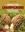 Le Grand Livre des Champignons du Québec et de l'est du Canada. 2nd rev. ed. 2019. (Guide Nature Quintin). illus. 648 p.