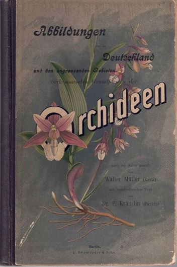 Abbildungen der in Deutschland und den angrenzenden Gebieten vorkommenden Grundformen der Orchideen - Arten. 60 Tafeln nach der Natur gemalt und in Farbendruck ausgeführt. Mit beschreibendem Text von F. Kränzlin. 1904. 60 col. Tafeln. gr8vo. Kartoniert.