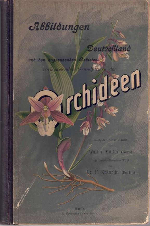 Abbildungen der in Deutschland und den angrenzenden Gebieten vorkommenden Grundformen der Orchideen - Arten. 60 Tafeln nach der Natur gemalt und in Farbendruck ausgeführt. Mit beschreibendem Text von F. Kränzlin. 1904. 60 col. Tafeln. gr8vo. Kartoniert.