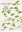 Monocot Weeds 3. Monocot Weeds Excluding Grasses.  1982. Many line drawings. 12 col. pls. 132 p. 4to. Hardcover.- In English, German, Fench and Spanish.