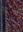 Synopsis Muscorum Europaeorum. 2 vols. bound in1 volume. 2nd rev. ed. 1876. 7 pls. CXXX, 886 p. gr8vo. Halfleather.
