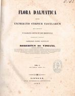 Flora Dalmatica, sive enumeratio stirpium vascu- larium, quas hactenus in Dalmatia lectas et sibi observatas, descripsit, rariorumque iconibus illustravit. 3 Bände. Lipsiae 1842-1852. 57 hand- coloured copper-engravings.908 p.4to.Modern hardcover.-With: Supplementum. Opus suum novis curis castigante et augente..Venetiis 1872. (Memorie dell'imp.reale Istituto Veneto di scienze, lettere ed arti 16) 