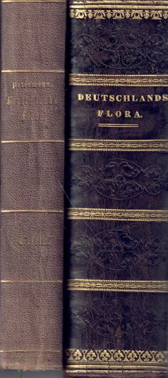Deutschlands Flora mit Abbildungen sämtlicher Gattungen auf 100 Tafeln. 2 Bände. Leipzig 1849. 100 . 668 S. 4to. Halbleder.