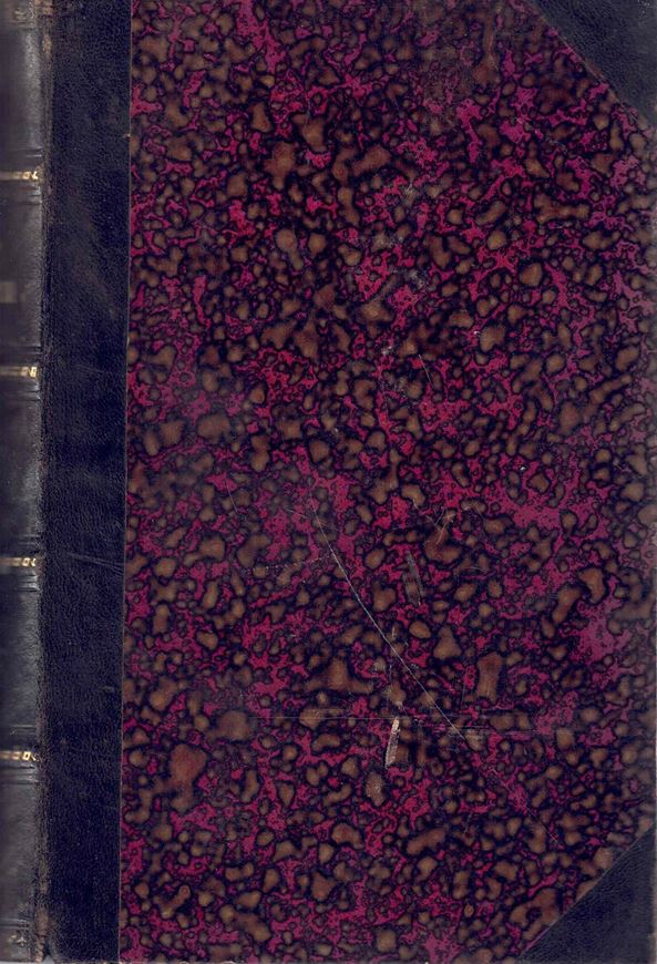 Die Farnpflanzen oder Gefäßbündelkryptogamen (Pteridophyta). 1889.(Rabenhorst's Kryptogamen-Flora von Deutschland, Österreich und der Schweiz, Bd.3). 225 Fig. VII,906 S. gr8vo. Halbleder.