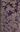 Caroli Linnaeis Fundamentorum Botanicorum ...Volume 2. 1786.Several foldg. copper plates. 732 p. Paper bd.