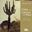 Todos los Cactus del Peru. 2nd rev. & augmented ed. 2019. illus. (col.). 571 p. Paper bd.- In Spanish..