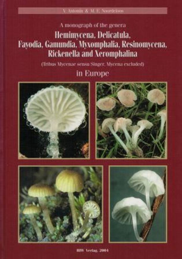 A monograph of the genera Hemimycena, Delicatula, Fayodia, Gamundia, Myxomphalia, Resinomycena, Rickenella, and Xeromphalina (Tribus Mycenae sensu Singer, Mycena excluded) in Europe. 2004. 122 (57 col.) figs. 279 p. gr8vo. Hardcover.