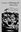  Evolution of Biological Diversity. 1999. 51 figs. 341 p. gr8vo. Paper bd.