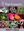  Plant systematics. 2nd ed. 2010. illus. col. figs. XII, 740 p. 4to. Hardcover.