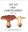 Vol. 17: Ed by P. Moenne-Loccoz et autres. 2008. 98 col. pls. 130 fiches. 138 page d'explications. - In Folder.